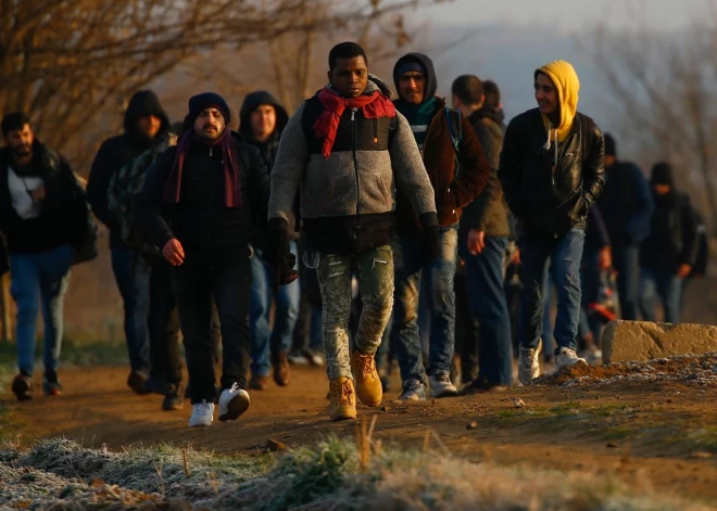 Brīvdienās uz Latvijas–Baltkrievijas robežas apturēti teju 300 nelegālie migranti