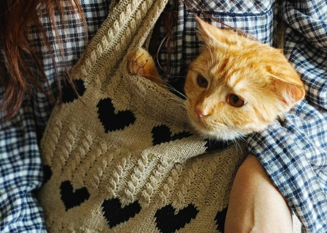 No 22. aprīļa mainās prasības ceļošanai ar mājdzīvniekiem