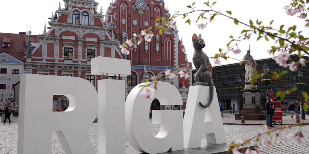 Зато у нас есть кот!