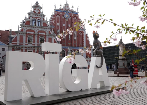 Зато у нас есть кот!