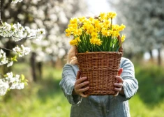 Šonedēļ populārākie vārdi - Juris un Anastasija