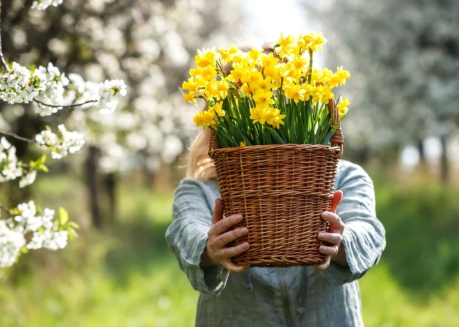 Šonedēļ populārākie vārdi - Juris un Anastasija