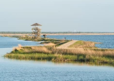 Лошадиный остров в Лиепае: как бывшая окраина и свалка превратилась в одно из самых необычных мест города