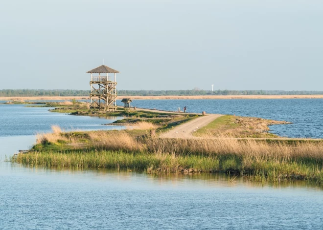 Лошадиный остров в Лиепае: как бывшая окраина и свалка превратилась в одно из самых необычных мест города