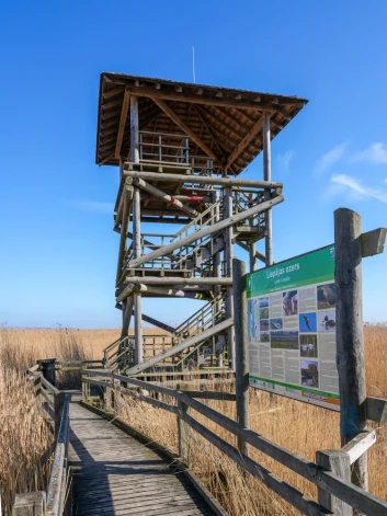 Особую роль играет смотровая башня, к которой ведет тропа вдоль озера.