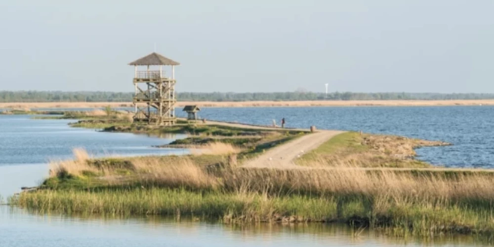 Zirgu sala Liepājā.