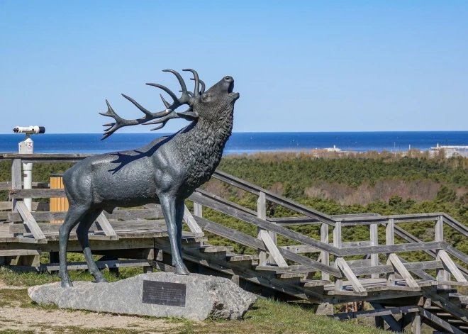 Staltbriežu introdukcijai Ventspils pusē – 115 gadi! Livonijas ordeņa pilī skatāma medību trofeju izstāde