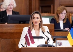 Случай Арманевой показал - незарегистрированные партнеры политиков и чиновников остаются вне поля зрения закона