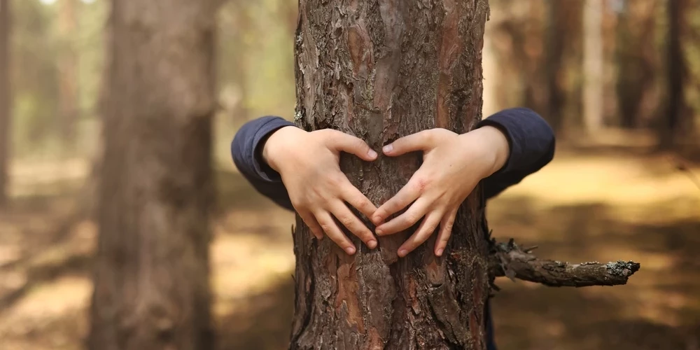 Иллюстративное фото.