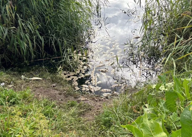Vērēmu pagasta dīķī konstatēts piesārņojums