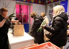 9 мая в Риге пройдет фестиваль помидоров и огурцов: посетители будут есть овощи на скорость и кричать как чайки