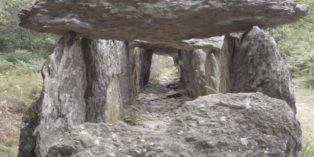 Galerijas kaps ir megalīta kapa forma, kas galvenokārt celta neolīta laikmetā Eiropā, kurā tiek ieieta kapa galvenajā galerijā, vispirms neizejot cauri priekštelpai vai gaiteni.