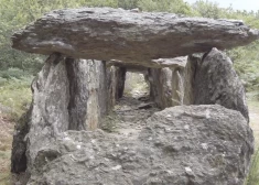 Galerijas kaps ir megalīta kapa forma, kas galvenokārt celta neolīta laikmetā Eiropā, kurā tiek ieieta kapa galvenajā galerijā, vispirms neizejot cauri priekštelpai vai gaiteni.