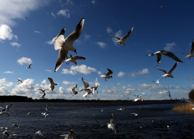 Saglabāsies sauss laiks, bet dienas gaitā pieaugs vēja ātrums. Laika prognoze trešdienai