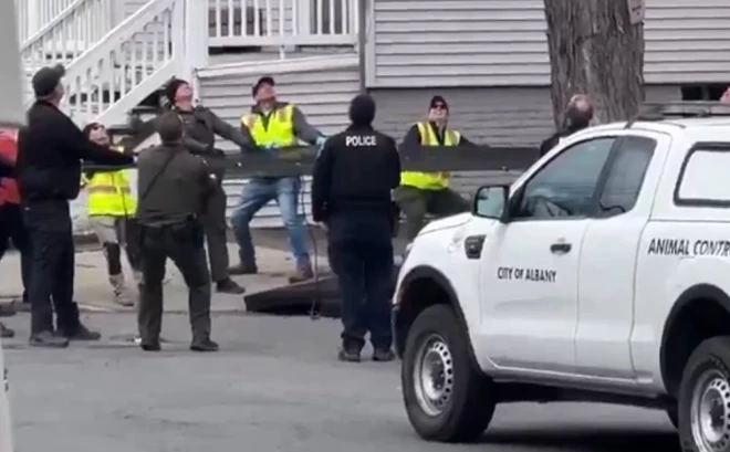 Policijas darbinieki lāci droši noķēra izstieptajā tīklā.