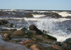Доставайте куртки: в четверг в Латвию придут холод и ветер