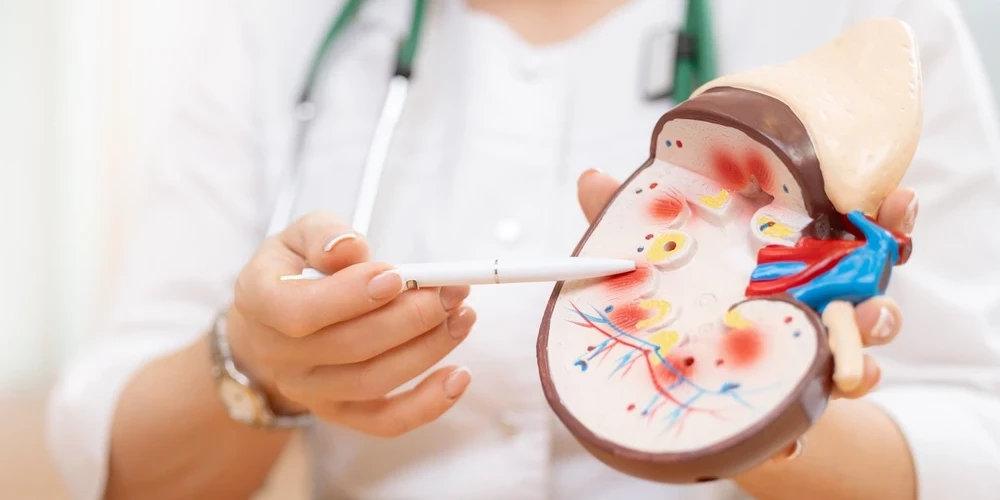 Благотворительный вечер в Риге хотят превратить в реальную помощь пациентам с заболеваниями почек.