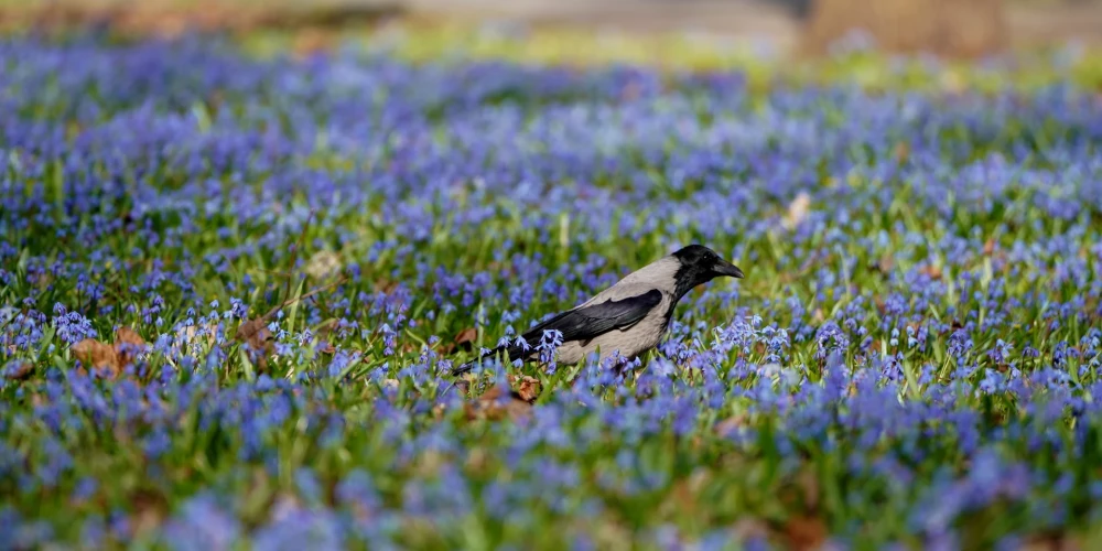 Иллюстративное фото.