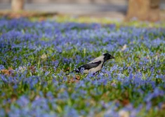 Ветер усилится, осадков не будет: какой будет погода в четверг