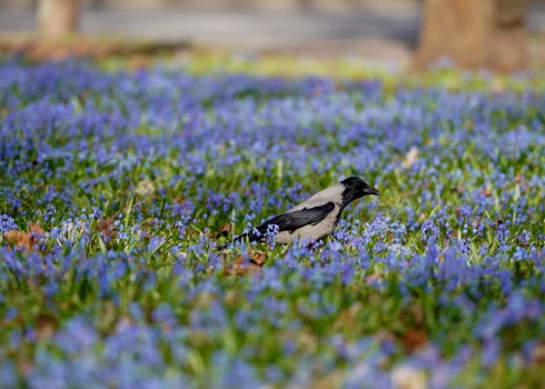 Иллюстративное фото.