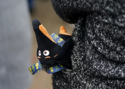 Ilustratīvs attēls.