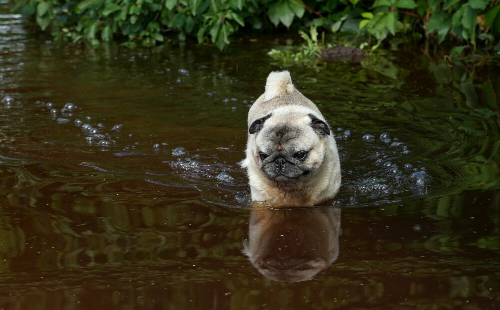 Rīgā neierastā veidā plāno mazināt plūdu risku