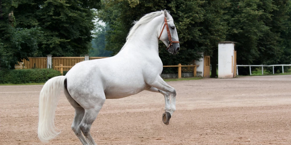 Иллюстративное фото.