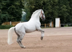 "Спасителя на белом коне не ждите": политолог разбил надежды латвийцев на спокойное будущее
