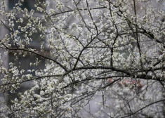 Пятница принесет Латвии солнце, ветер и локальные дожди