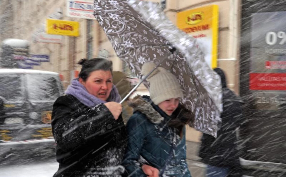 Lūzīs koki, iespējami bojājumi jumtiem un citi postījumi -  svētdien Latvijā gaidāma postoša vētra