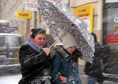 Lūzīs koki, iespējami bojājumi jumtiem un citi postījumi -  svētdien Latvijā gaidāma postoša vētra