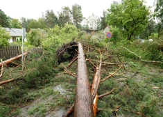 В Латвию идет опасная буря - синоптики предупреждают о разрушительном ветре, снеге и граде.