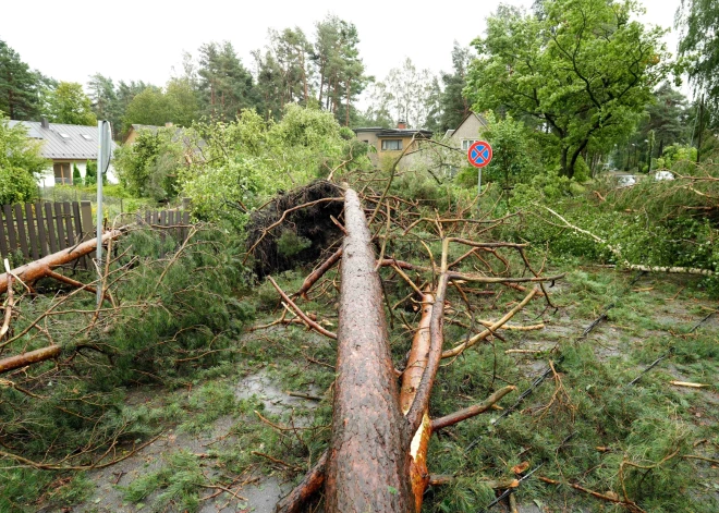 В воскресенье латвийцам советуют отменить поездки: надвигается самая разрушительная буря почти за два года