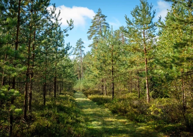 LVM iegādājas jaunus zemes īpašumus