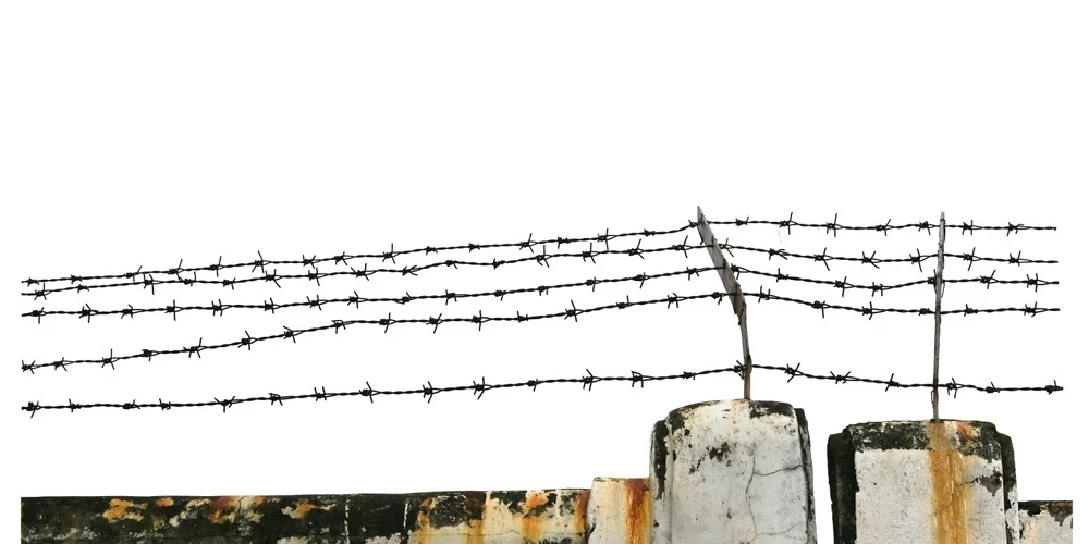 Вместо картин и перформансов российская власть предложила пытки и колючую проволоку.