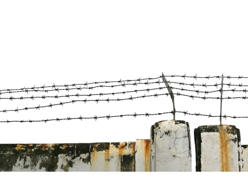 Вместо картин и перформансов российская власть предложила пытки и колючую проволоку.