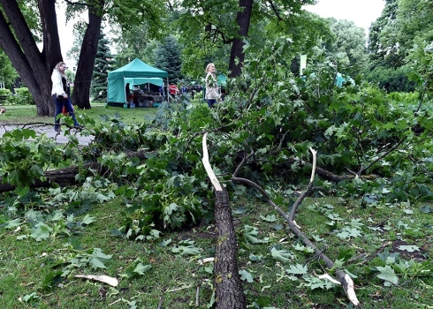 Iedzīvotājiem jāņem vērā, ka vētras laikā var lūzt gan koki, gan to zari.