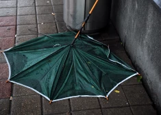 В части Латвии объявлено оранжевое предупреждение из-за ветра