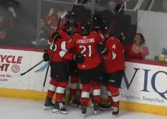 Vilmanis ar komandu piedzīvo zaudējumu Springfīldā, gaidāma izšķirošā spēle