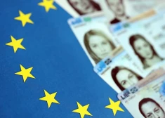 По числу беженцев с особым статусом в ЕС на втором месте после украинцев оказались граждане РФ