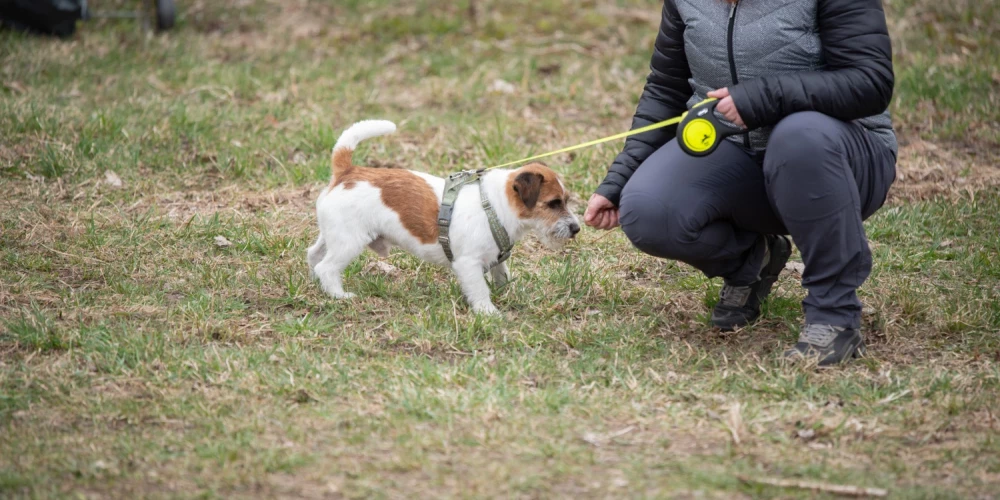 Šodien Latvijā notiek Lielā talka.