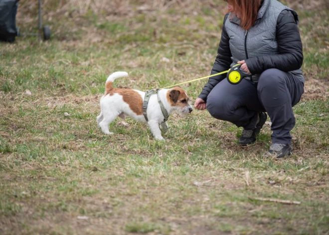 Šodien Latvijā notiek Lielā talka.