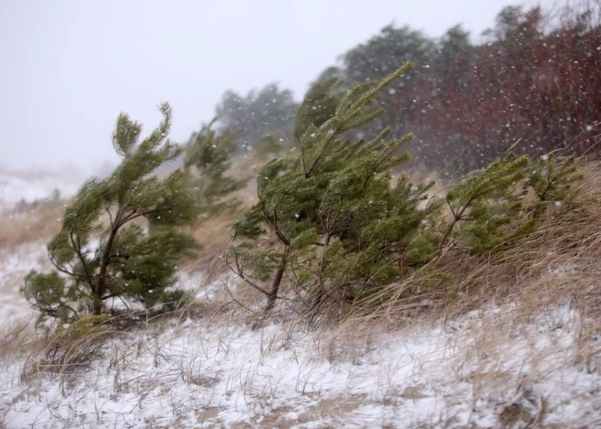 В воскресенье во многих районах бушует сильный ветер, местами выпал снег