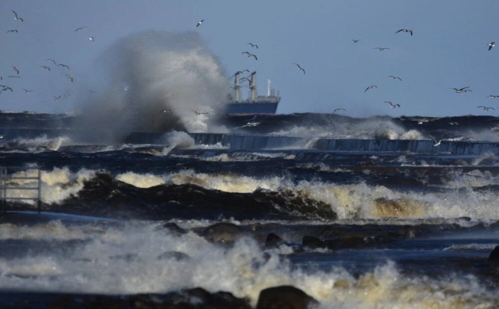 Saņemti jau 17 izsaukumi par vēja radītajiem postījumiem
