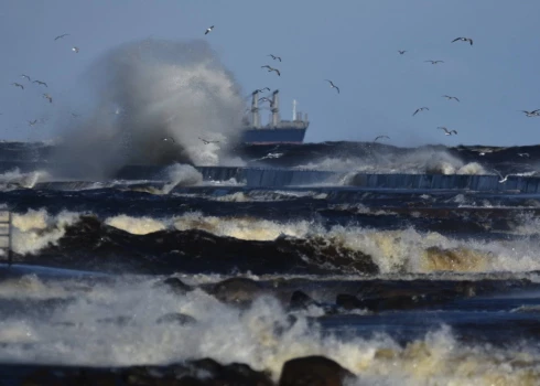 Glābēji saņēmuši 17 izsaukumus stiprā vēja radīto postījumu dēļ.