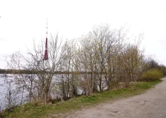 Погода на понедельник: заморозки ночью и до +10 днем с осадками