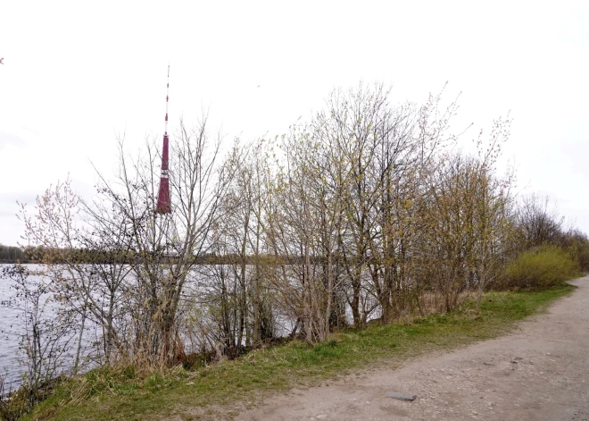 Погода на понедельник: заморозки ночью и до +10 днем с осадками