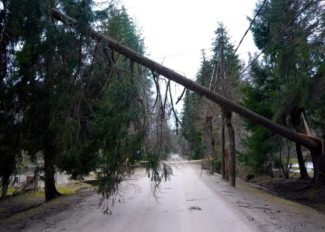 Spēcīgais vējš atstājis bez elektrības 9000 klientu. Brīdina cilvēkus netuvoties elektrības līnijām