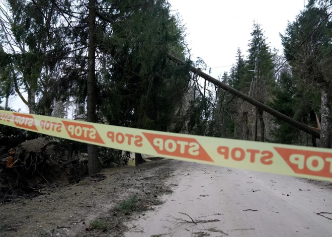 Spēcīgais vējš lielākos postījumus nodarījis Rīgā un tās apkaimē