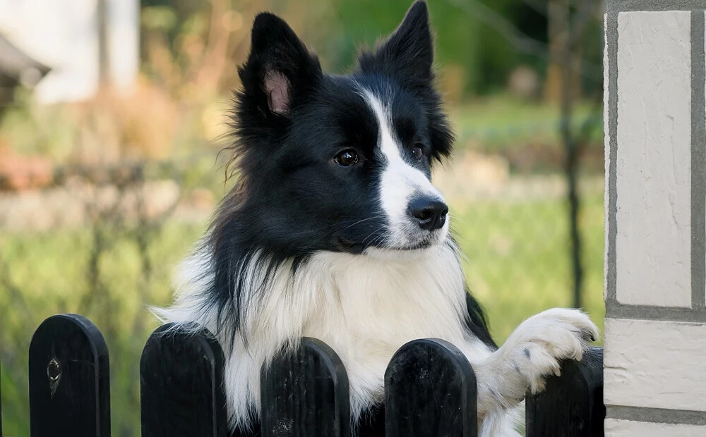 Pilnmēness šonedēļ būs ļoti jūtams - horoskops visām zodiaka zīmēm no 27.04. līdz 3.05.